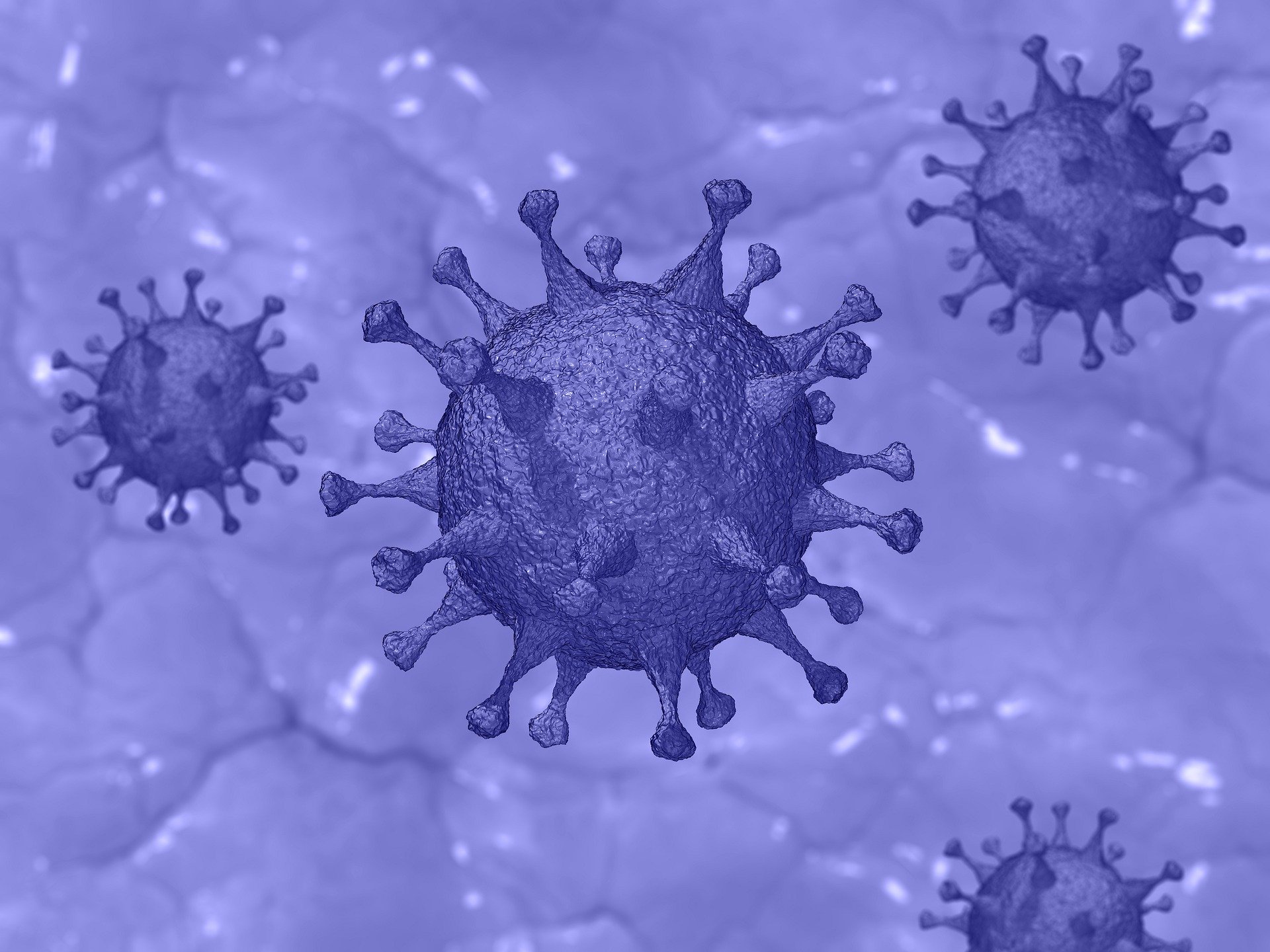 Le coronavirus pourrait donner un répit aux locataires